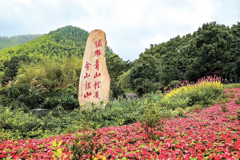 1764752079520339.jpg 7_看圖王.jpg